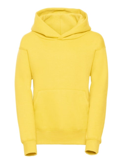 Sweat à capuche - russell - Kiabi