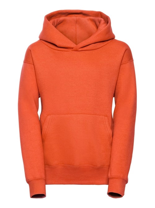 Sweat à capuche - russell - Kiabi