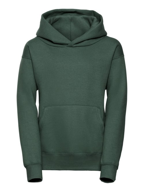 Sweat à capuche - russell - Kiabi