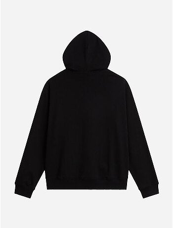 Sweat à capuche - the north face