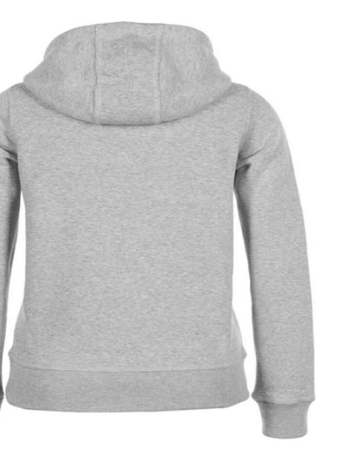 Sweat à capuche   ADRIVER - PEAK MOUNTAIN - Kiabi