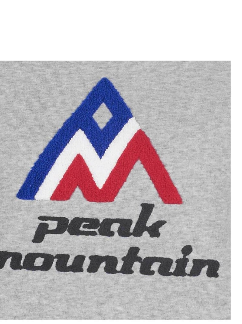 Sweat à capuche   ADRIVER - PEAK MOUNTAIN Gris - Kiabi