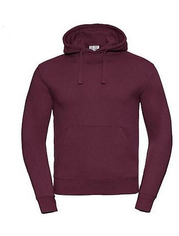 Sweat à capuche authentic - russell