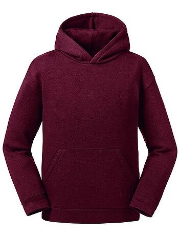 Sweat à capuche authentic - russell