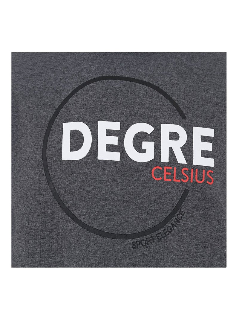 Sweat à capuche   CINOR - DEGRE CELSIUS Gris - Kiabi
