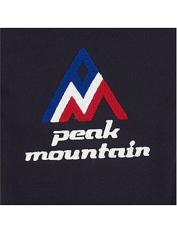 Sweat à capuche CODRIVER - PEAK MOUNTAIN