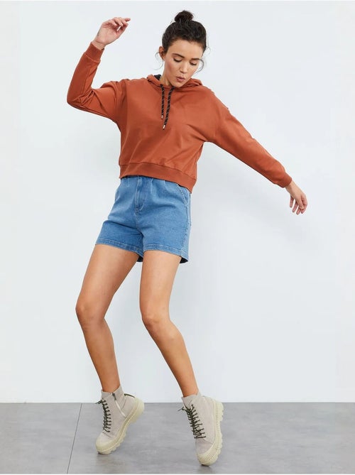 Sweat à capuche coupe décontractée avec lien tommy - Kiabi