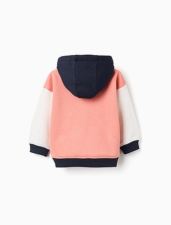 Sweat à Capuche en coton polyester peigné Colorblock
