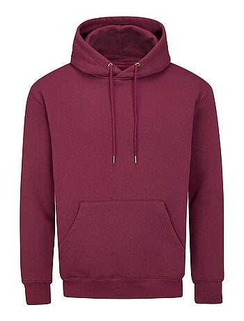 Sweat à capuche essential - mantis