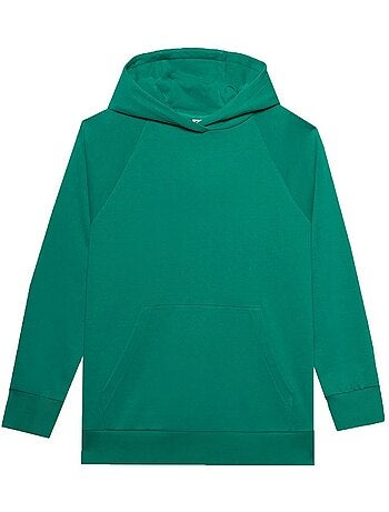 Sweat à capuche f0955 - 4f