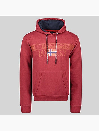 Sweat à capuche fastlife – geographical norway