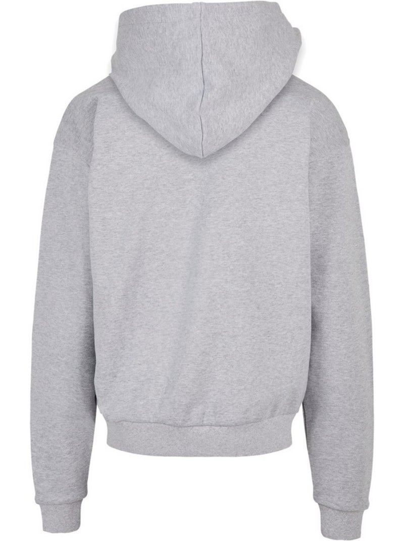 Sweat à capuche flying high - mister tee Gris - Kiabi