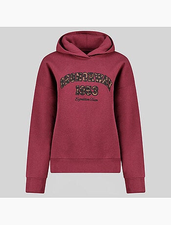 Sweat à capuche gaphir – geographical norway