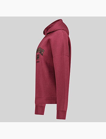 Sweat à capuche gaphir – geographical norway