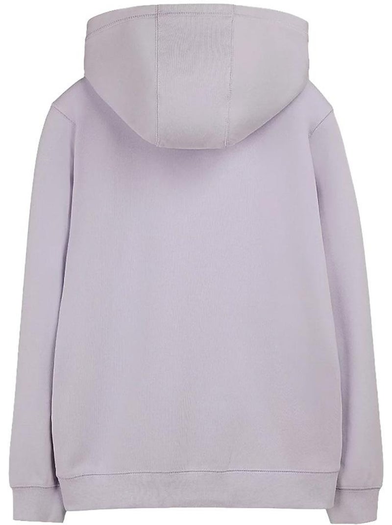 Sweat à capuche garçon teddy smith Violet - Kiabi