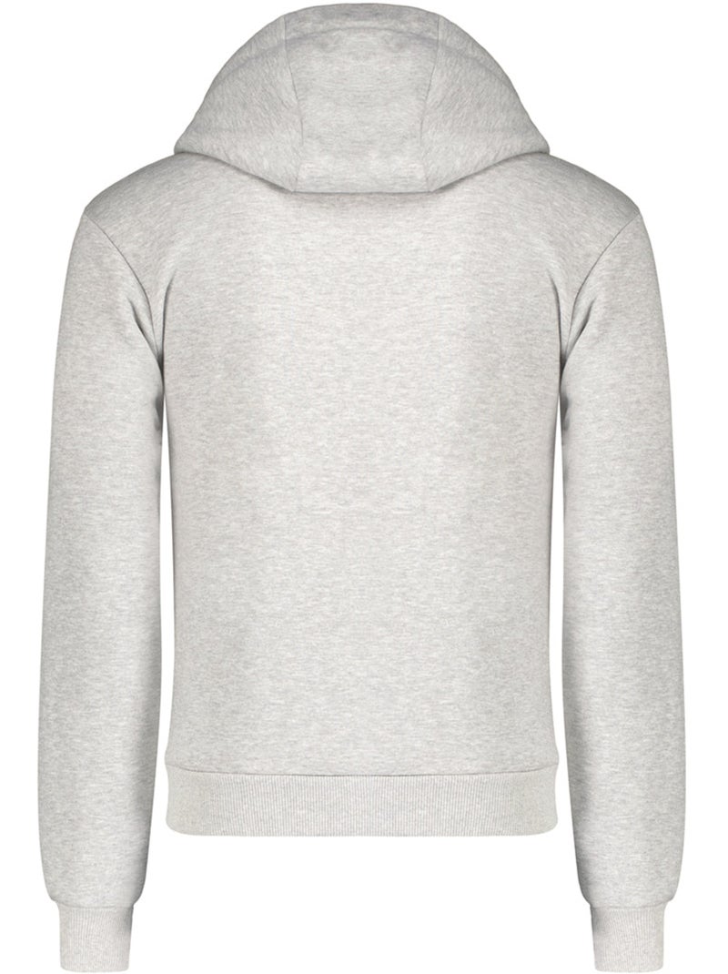 Sweat à capuche ginameak – canadian peak Gris - Kiabi