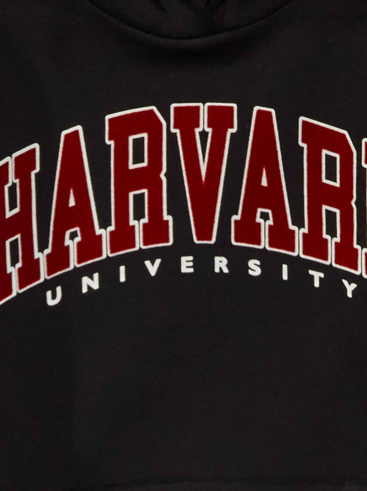 Pull à capuche Harvard unisexe gris XL
