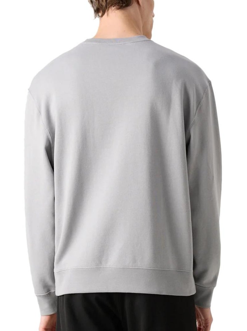 Sweat à Capuche Homme Calvin Klein Jeans Gris Argenté - Kiabi