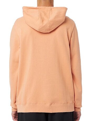 Sweat à Capuche Homme Guess