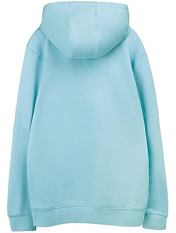 Sweat à Capuche Homme Teddy Smith