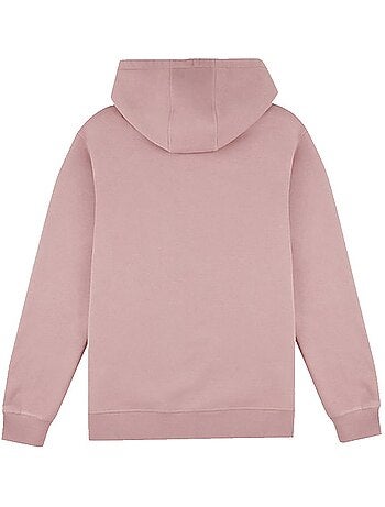 Sweat à Capuche Homme Teddy Smith