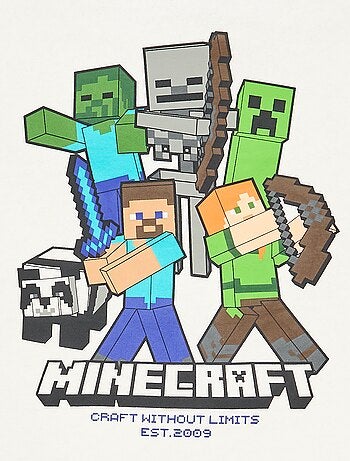 Sweat à capuche 'Minecraft'