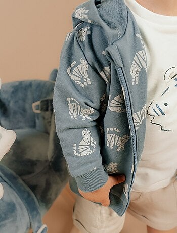 Sweat à capuche, Molleton Noukie's