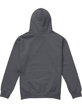Sweat à capuche motif/style logo usé - jurassic park