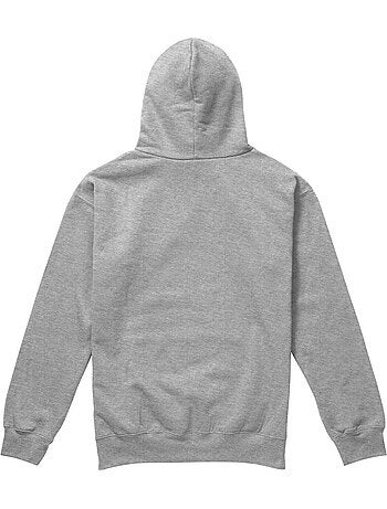 Sweat à capuche motif/style logo usé - jurassic park