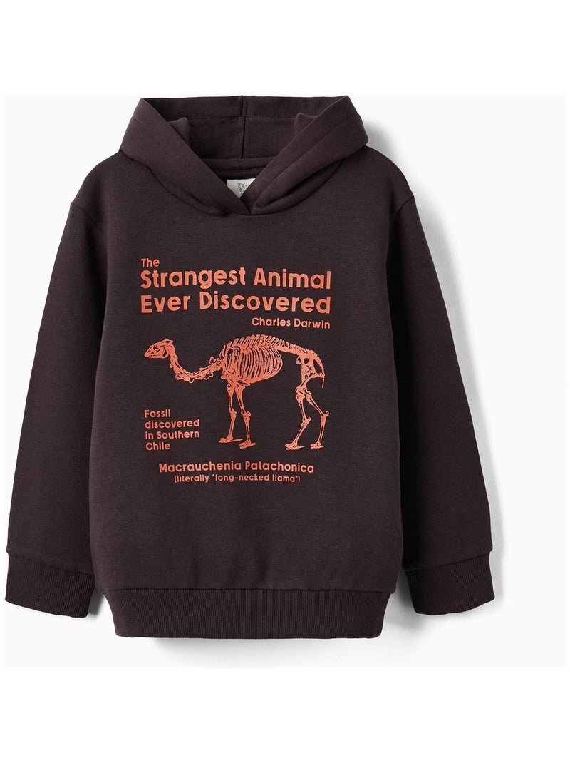 Sweat à capuche pour garçon 'Animaux les plus étranges'   DIFFERENT TOGETHER Gris foncé - Kiabi
