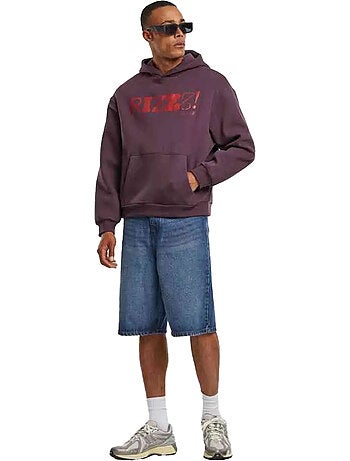 Sweat à capuche rizzz - mister tee