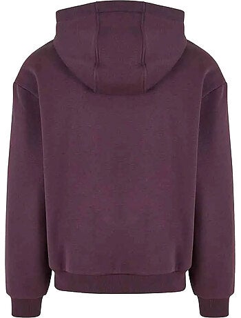 Sweat à capuche rizzz - mister tee