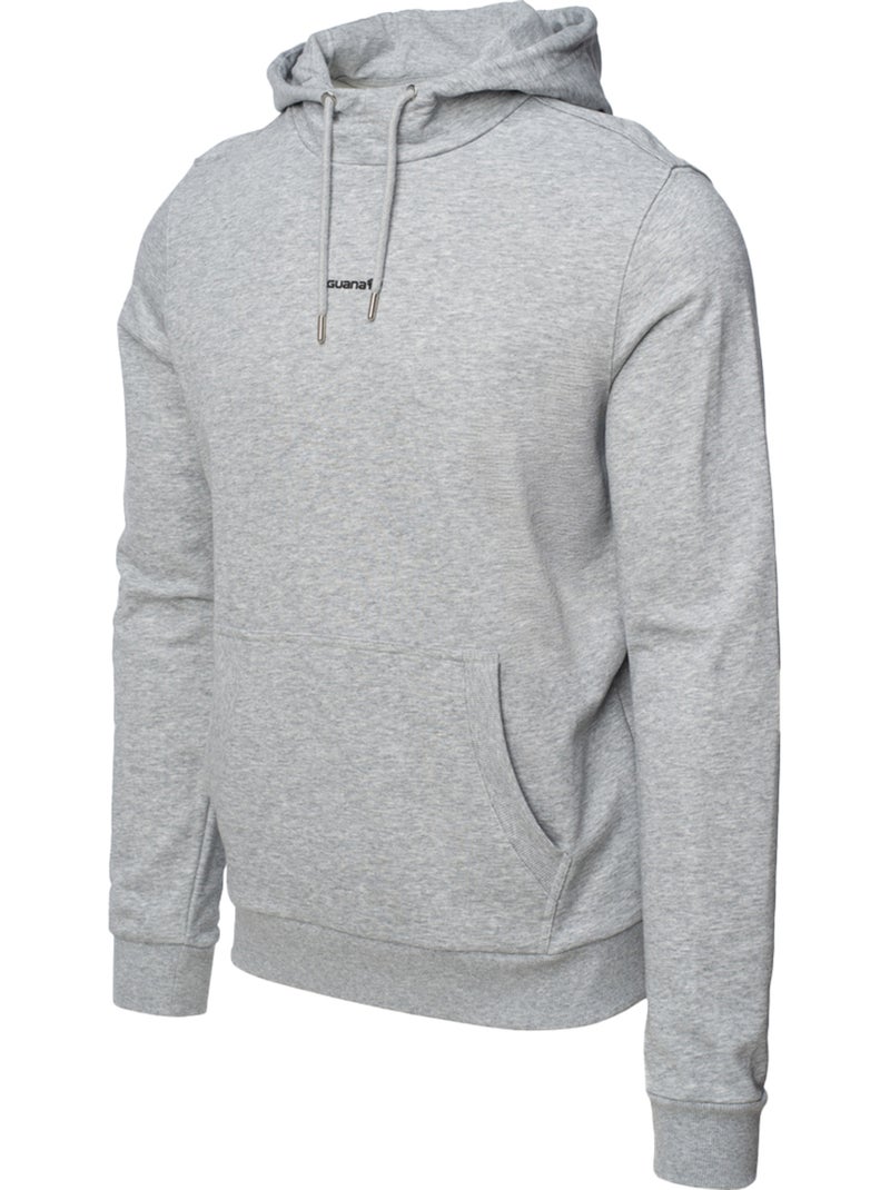 Sweat à capuche style logo iben - iguana Gris Gris clair - Kiabi