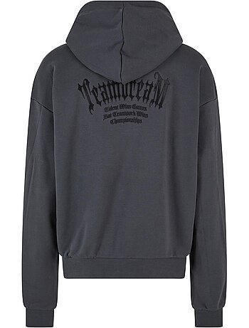 Sweat à capuche teamdream - mister tee