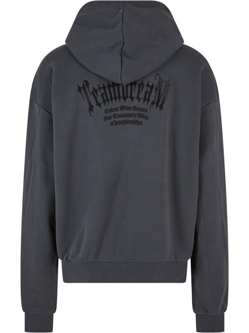 Sweat à capuche teamdream - mister tee - Kiabi