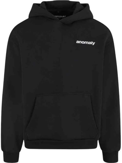Sweat à capuche theory of anomaly - mister tee - Kiabi