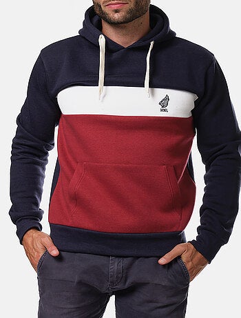 Sweat à capuche tri-color , logo poitrine