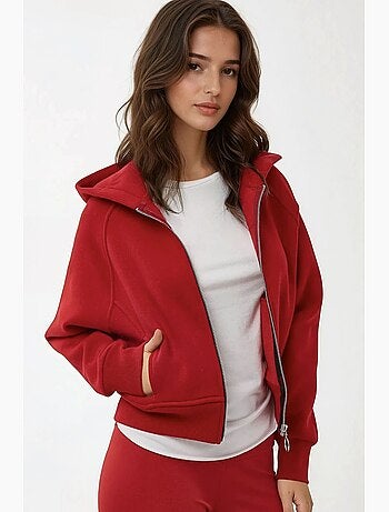 Sweat à capuche zippé coupe décontractée hiccup