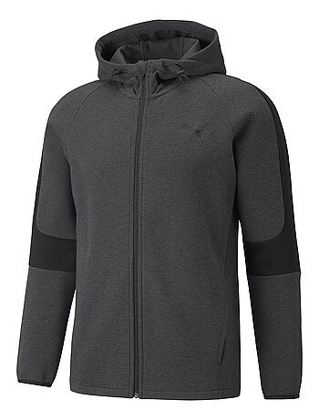 Sweat Capuche Puma Evostripe Core Fz Hoodie