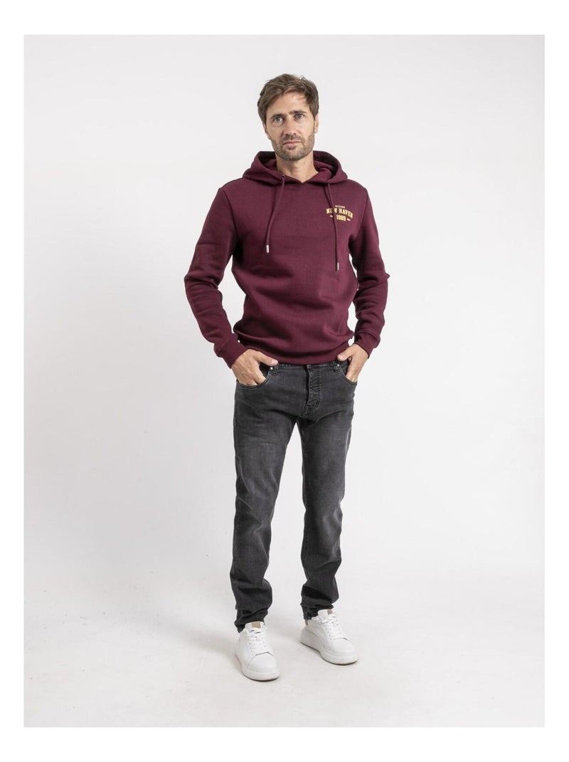 Sweat capuche WOUTILO Violet - Kiabi