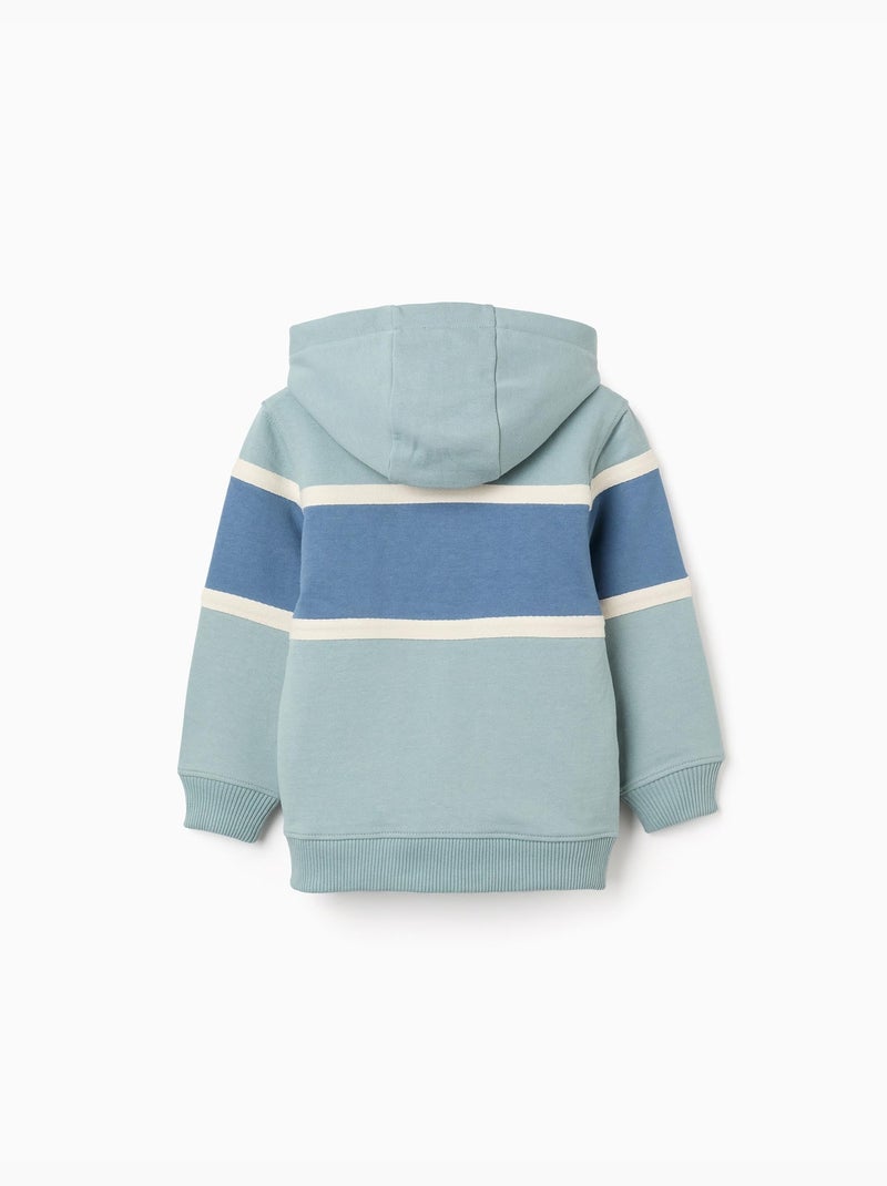 Sweat en coton à capuche et bloc de couleurs Vert clair - Kiabi