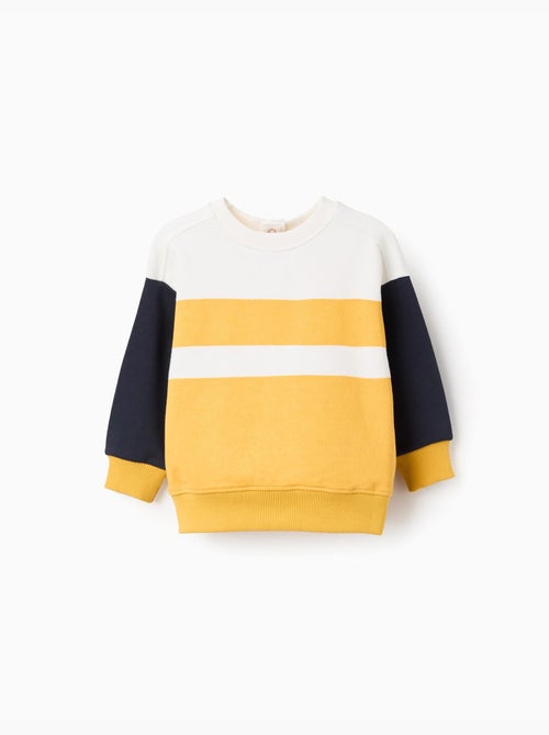 Sweat en coton avec bloc de couleurs - Kiabi