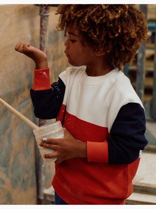 Sweat en coton avec blocs de couleur - Kiabi