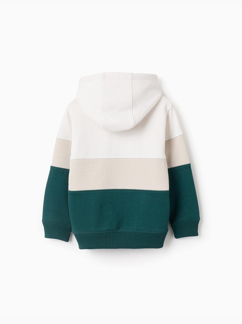 Sweat en Coton avec Capuche et Colorblock Vert foncé - Kiabi
