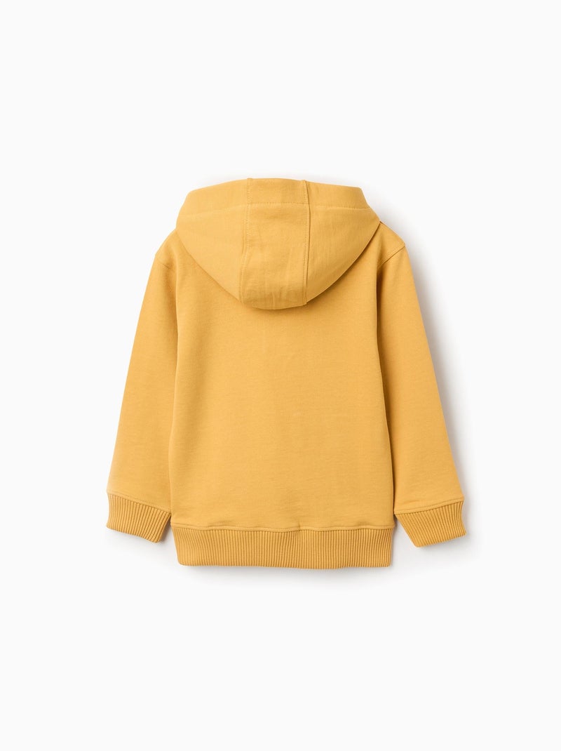 SWEAT POLO À RAYURES - Jaune clair | France