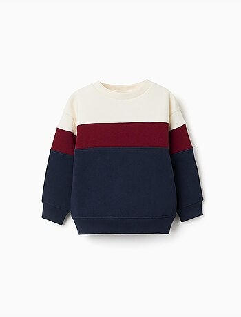 Sweat en coton peigné à bloc de couleurs