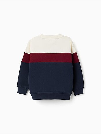 Sweat en coton peigné à bloc de couleurs