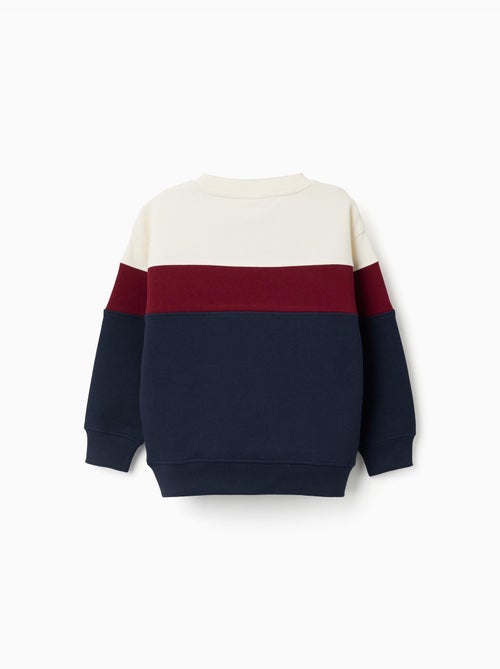 Sweat en coton peigné à bloc de couleurs - Kiabi Sweat en coton peigné à bloc de couleurs - Kiabi