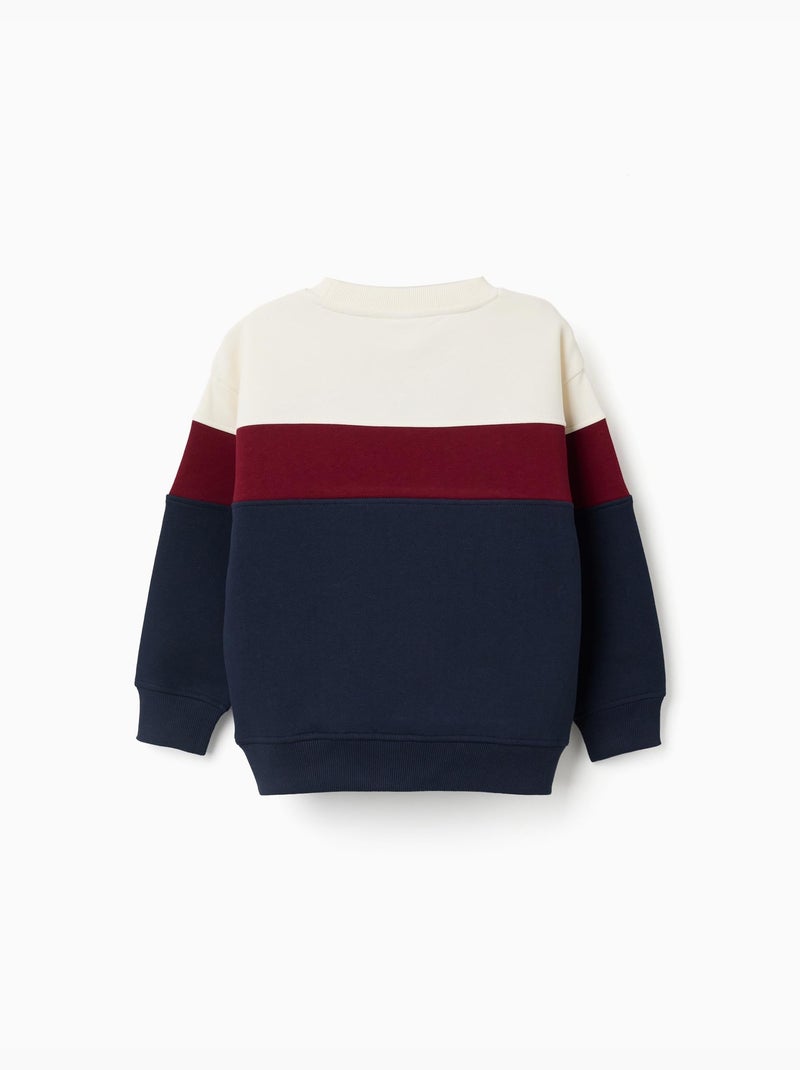 Sweat en coton peigné à bloc de couleurs Rouge foncé - Kiabi