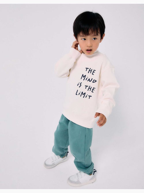 Sweat en coton peigné à capuche avec imprimé - Kiabi Sweat en coton peigné à capuche avec imprimé - Kiabi
